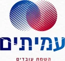 עמיתים השמת עובדים